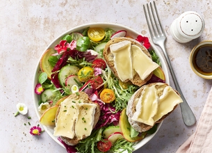 Salade et ses toasts gourmands au camembert