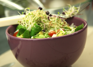 Petite salade de riz, tomates cerises, avocat et graines germées