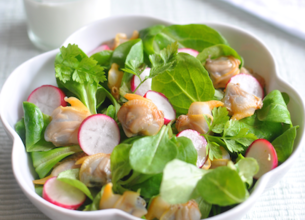 Salade de coques aux radis roses et aux herbes vertes